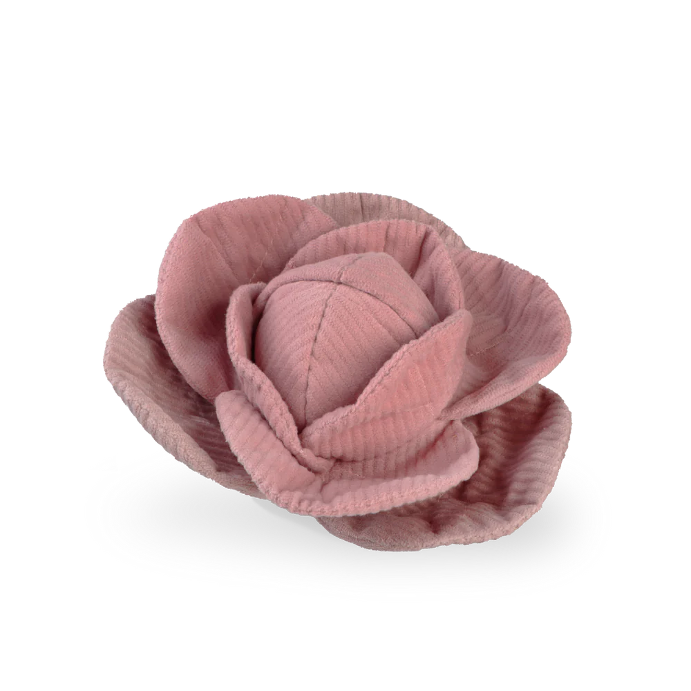 RED CABBAGE POP
