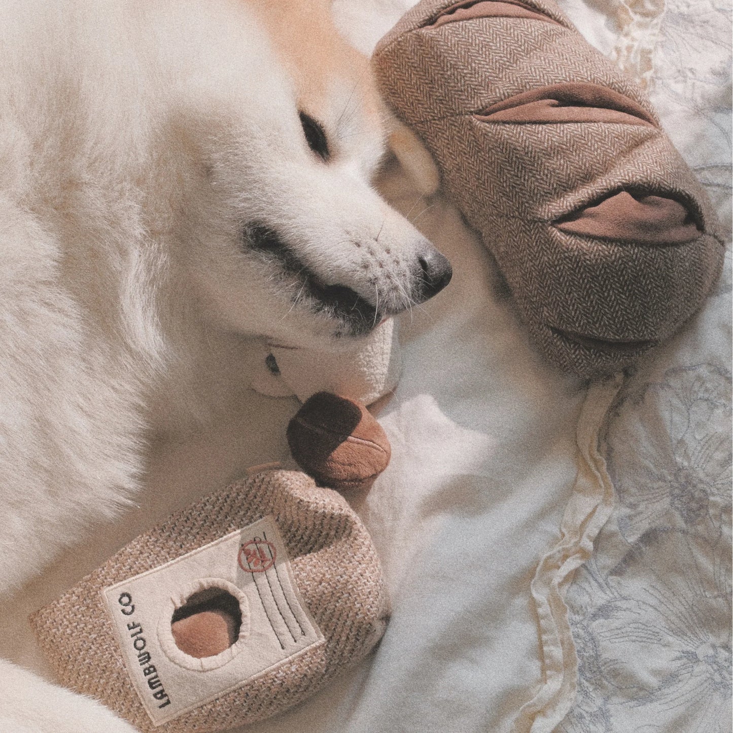 COFFEE BEANS