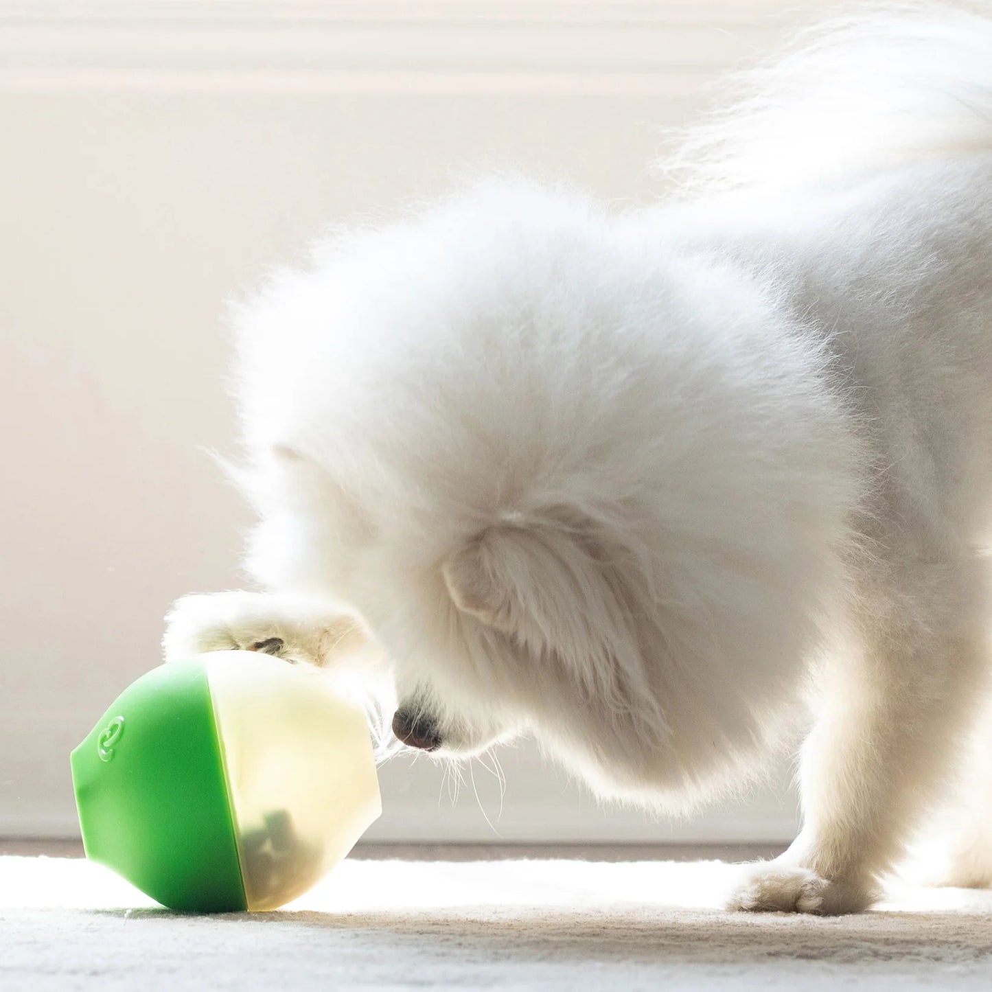 Іграшка для собак Pawbler Treat Dispenser Benebone