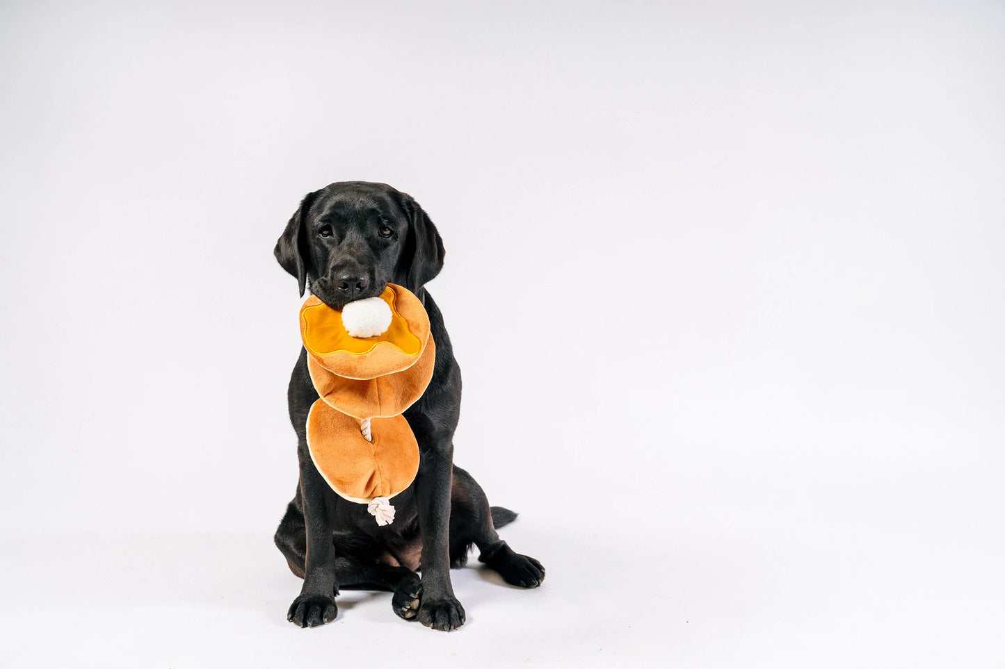 Іграшка для собак IHOP x P.L.A.Y. Pancake Pup Stack