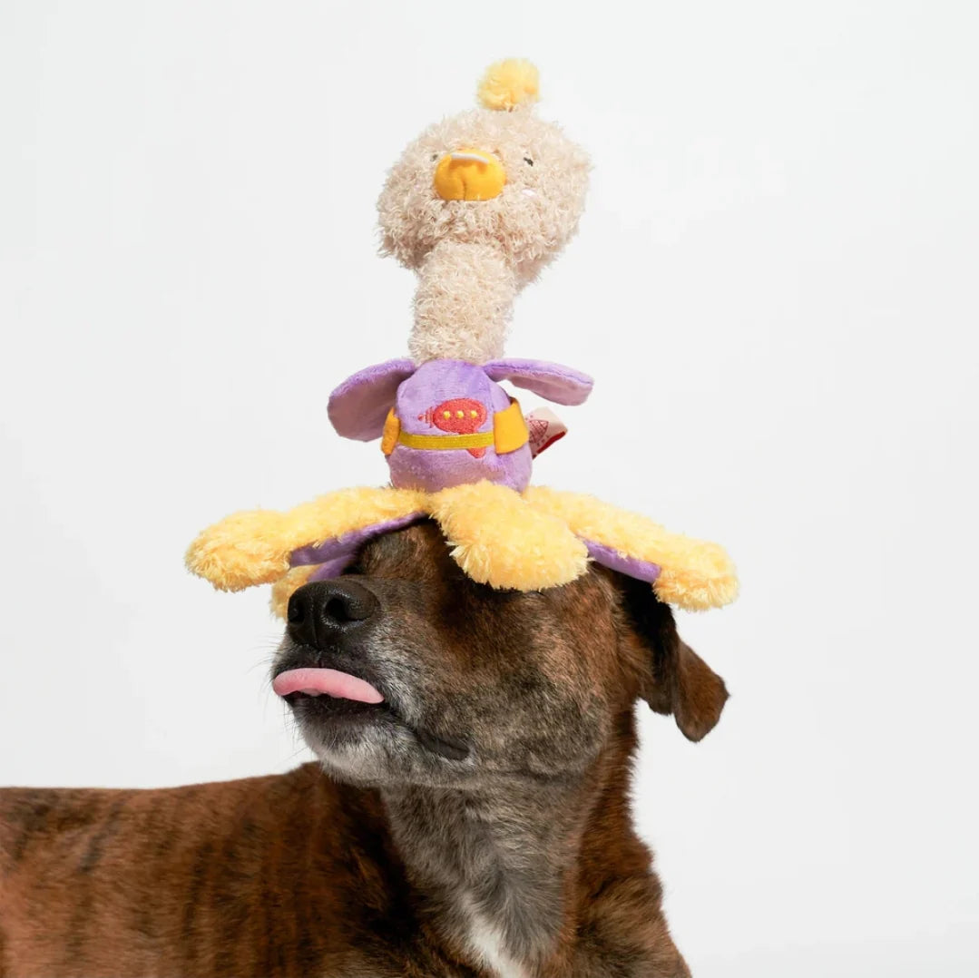 OstriKraken Furryfolks