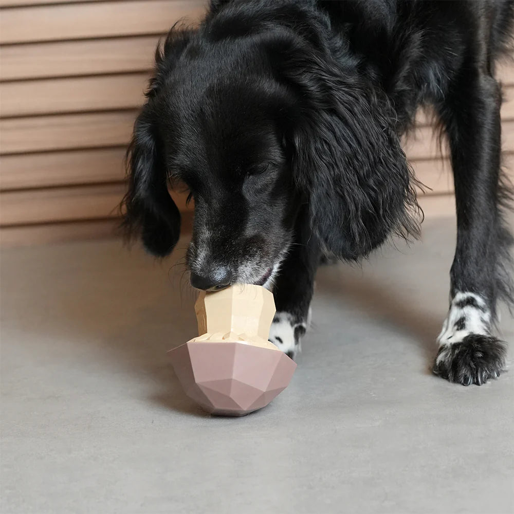 Mushroom Super Veggiez Zee.Dog