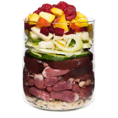 Вологий корм для собак качка з буряком, рисом, грушею та кунжутом Classic Menu Terra Canis