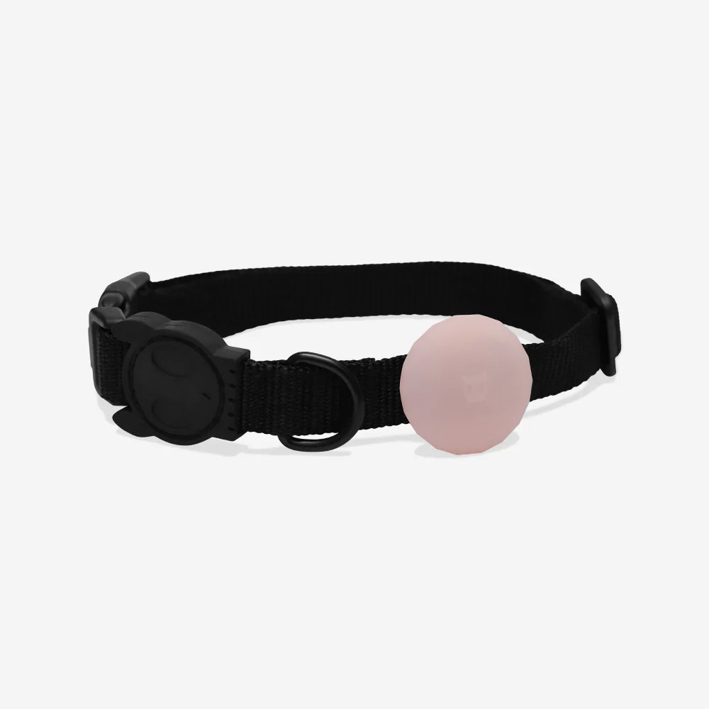 Холдер для AirTag Pink Zee.Dog