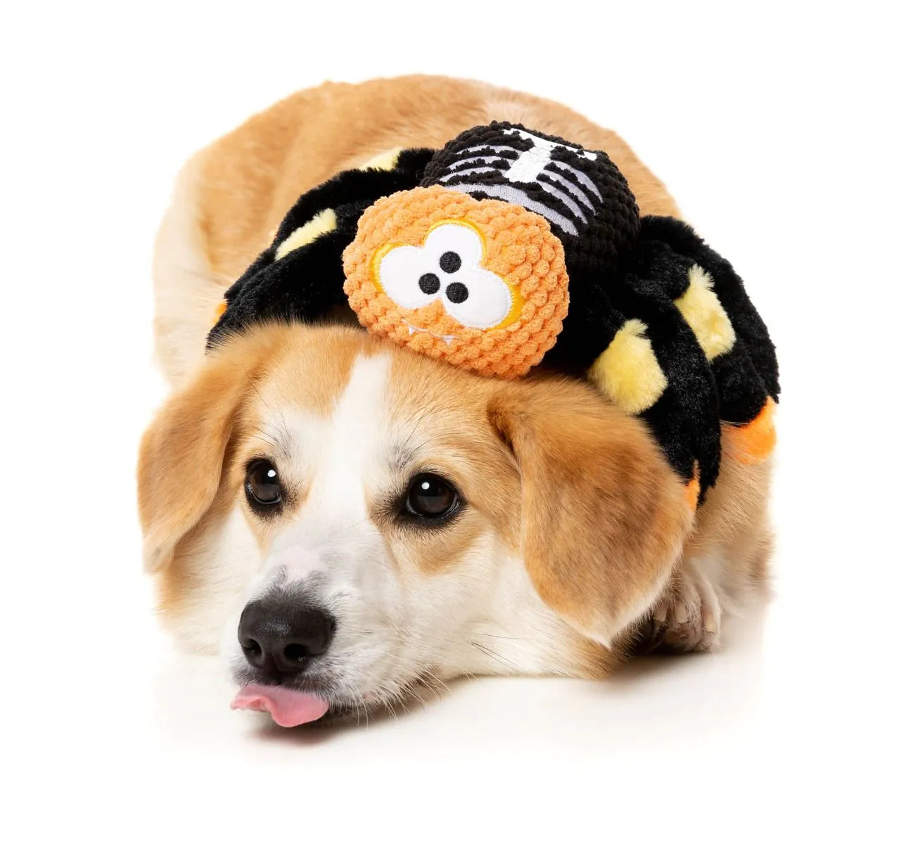 Іграшка для собак Fuzzy Wuzzy Skeleton FuzzYard