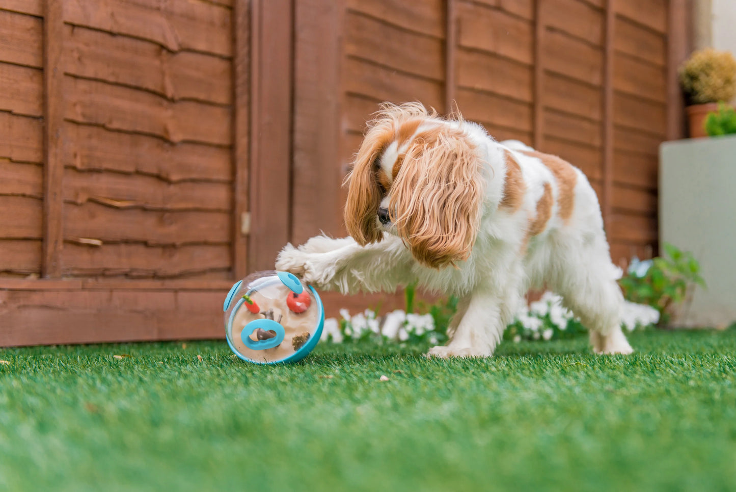 Іграшка для собак Wobble Ball Toy 2.0 Pet Play