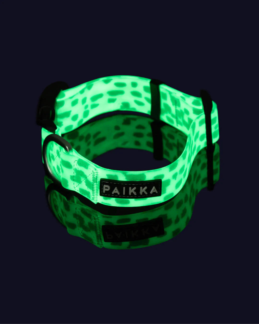 Нашийник для собак Glow Collar 2.0 Paikka