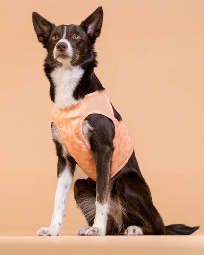 Охолоджуючий жилет Cool Vest Paikka Peach