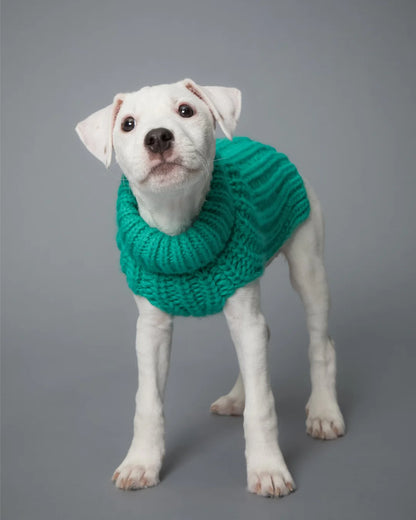 Светрик Knit Sweater Green PAIKKA