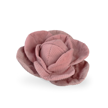 RED CABBAGE POP