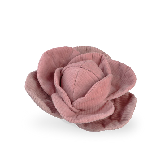 RED CABBAGE POP