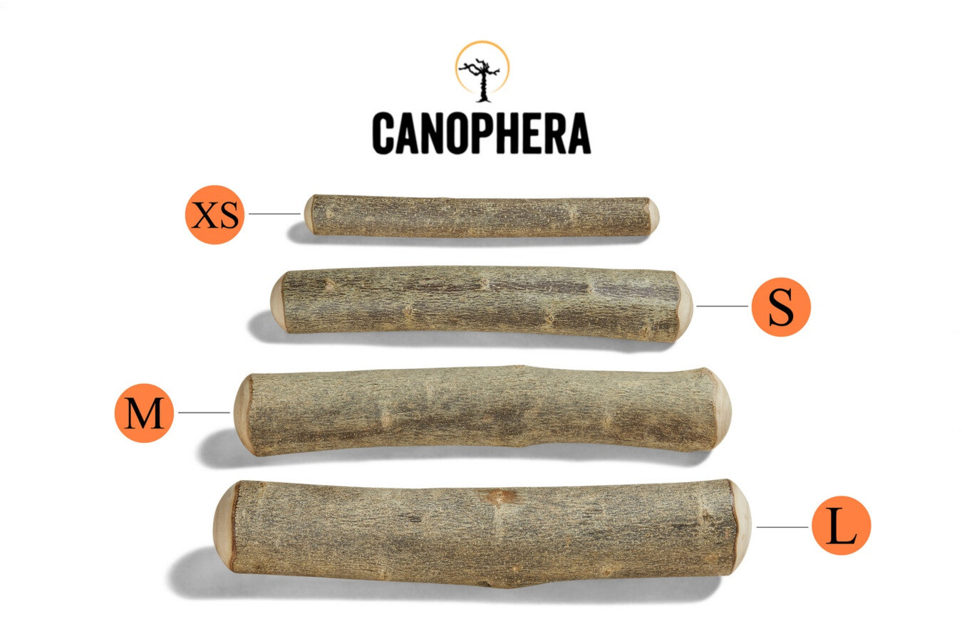 Палички з оливкового дерева для собак Canophera