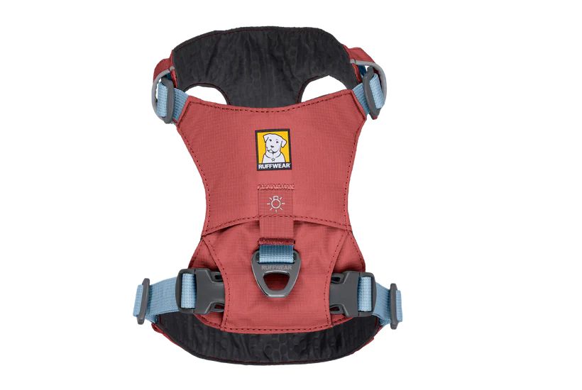 Полегшена шлейка для собак рожева Hi & Light Ruffwear