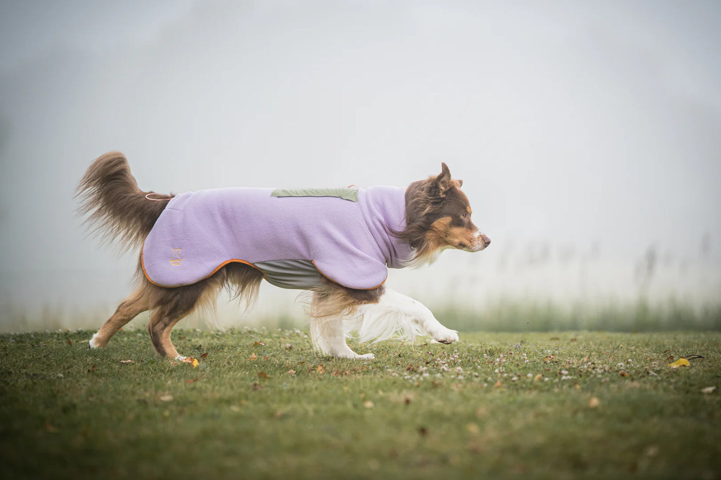 Флісова попона - пуловер Alpha 360 Lavender Mix Woolly Wolf