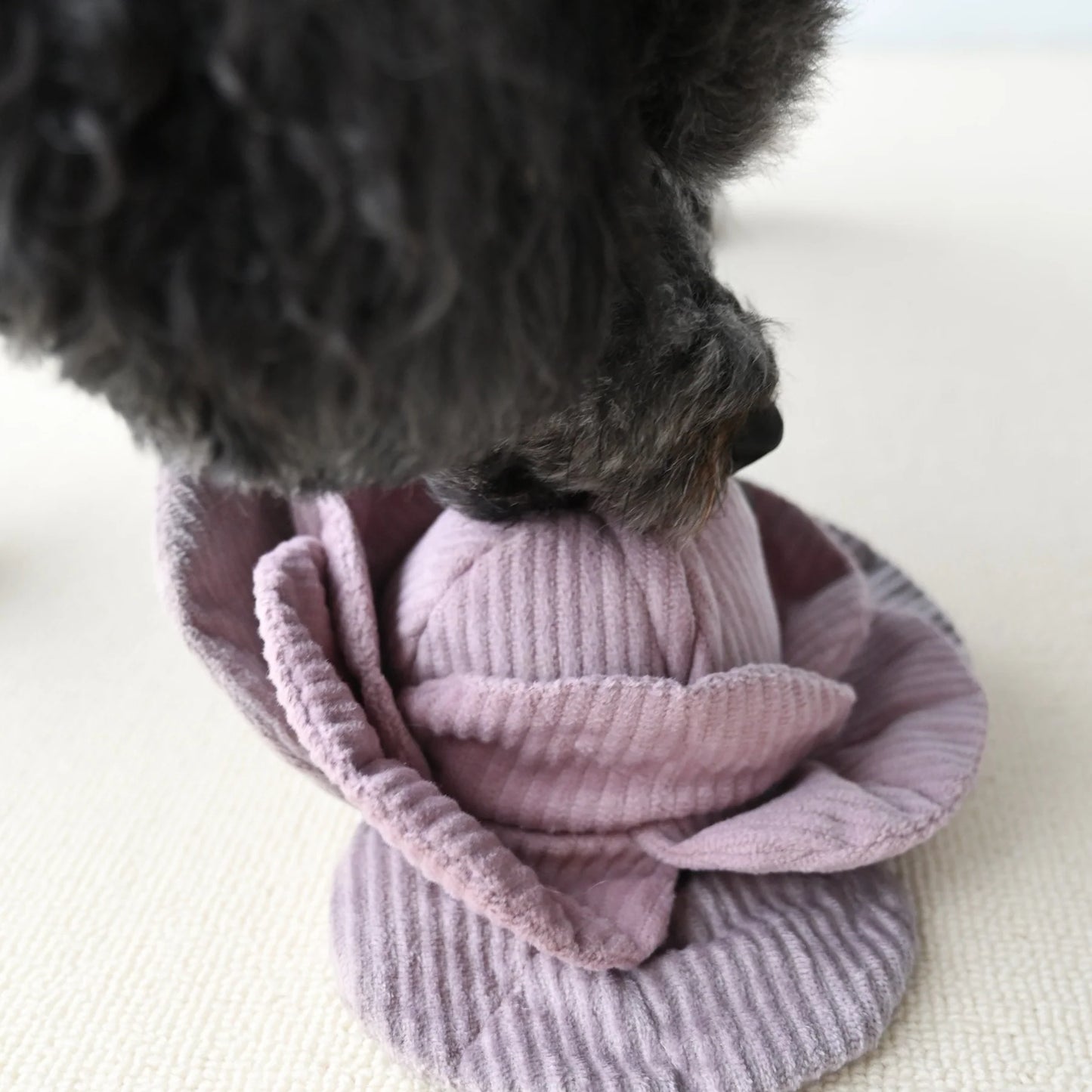 RED CABBAGE POP
