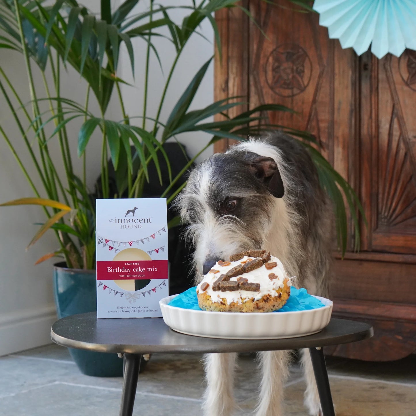 Суміш для приготування святкового торту Birthday Cake Mix The Innocent Hound 70 г