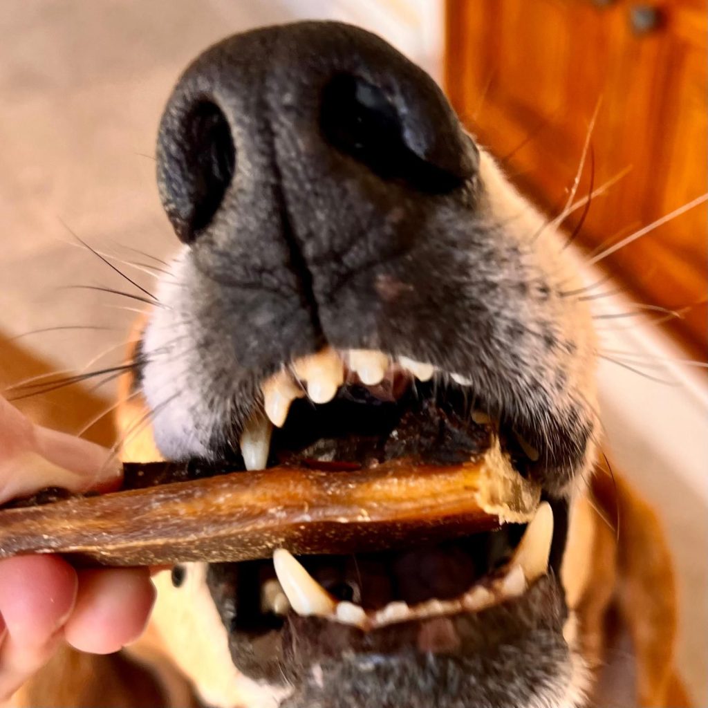 Натуральні смаколики для собак свинячі кишки 100% Pork Spawghetti Cooka's Cookies 60 г