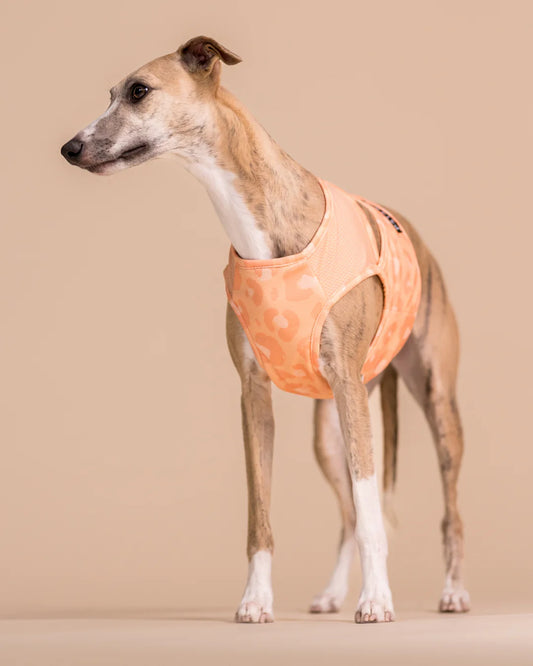 Охолоджуючий жилет Cool Vest Paikka Peach