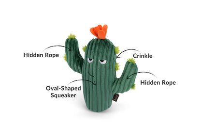 Іграшка для собак Blooming Buddies Prickly Pup Cactus