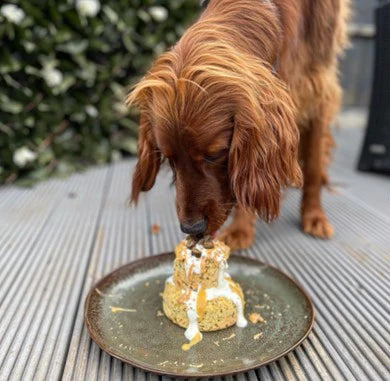 Суміш для приготування святкового торту Birthday Cake Mix The Innocent Hound 70 г