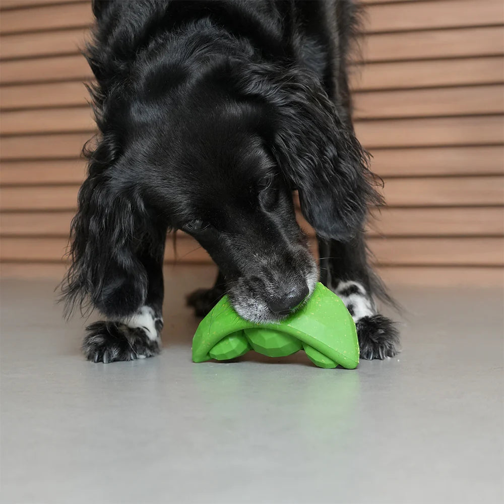 Green Bean Super Veggiez Zee.Dog