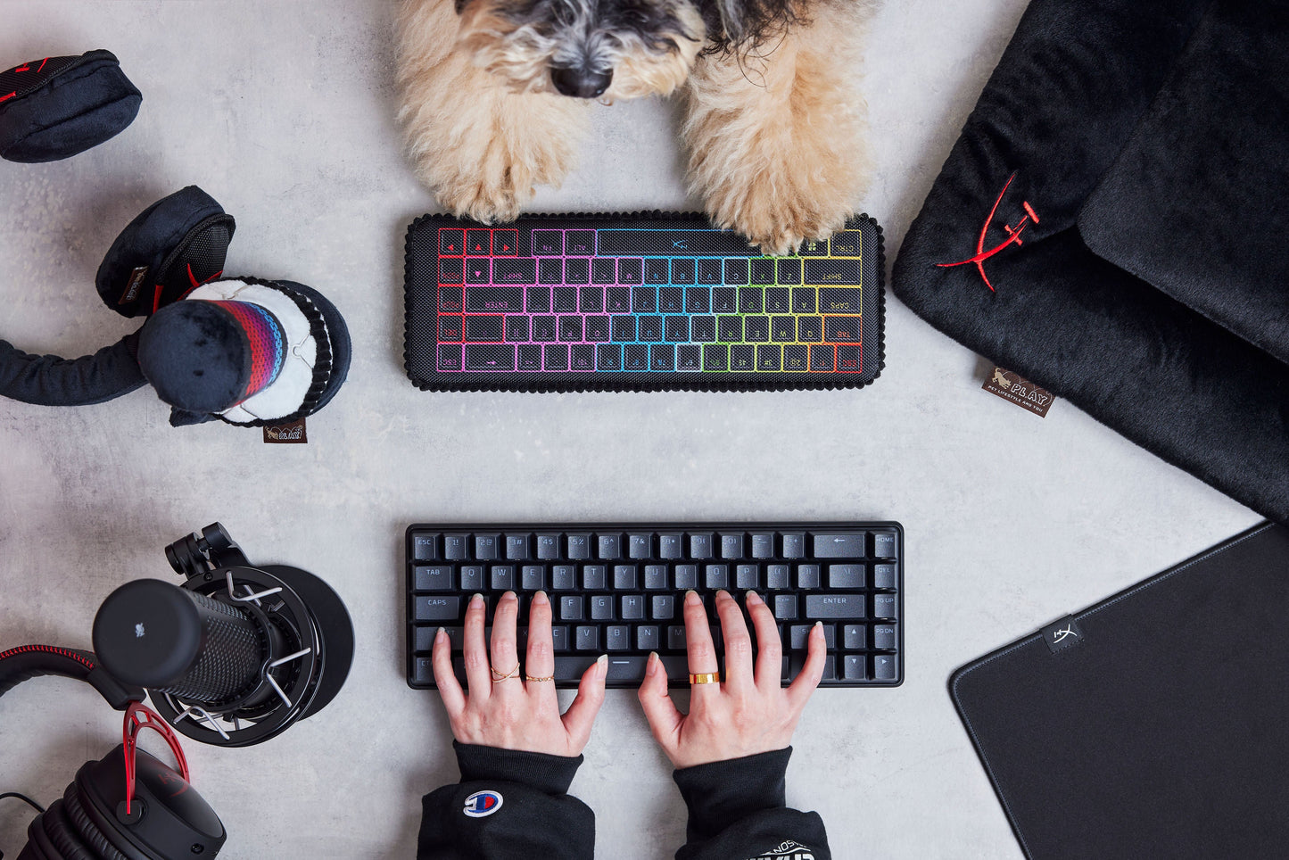 Іграшка для собак P.L.A.Y. x HyperX Keyboard Pet Play