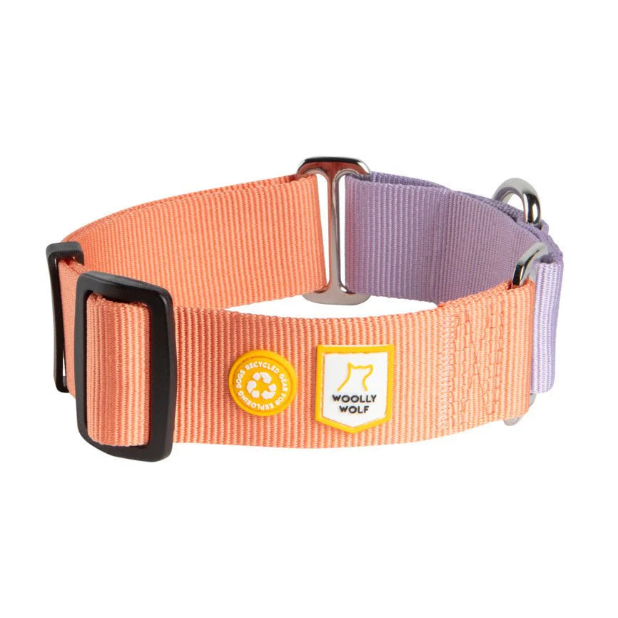 Martingale Color Block Salmon Pink Mix