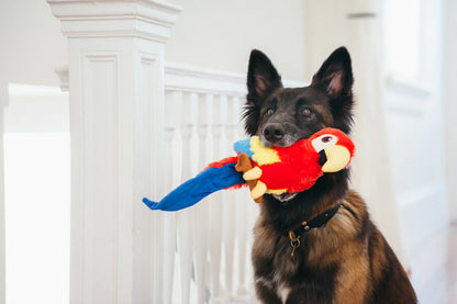Іграшка для собак Fetching Flock Collection Parrot Pet Play