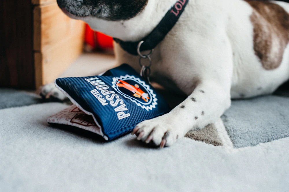 Іграшка для собак Globetrotter Collection Passport Pet Play