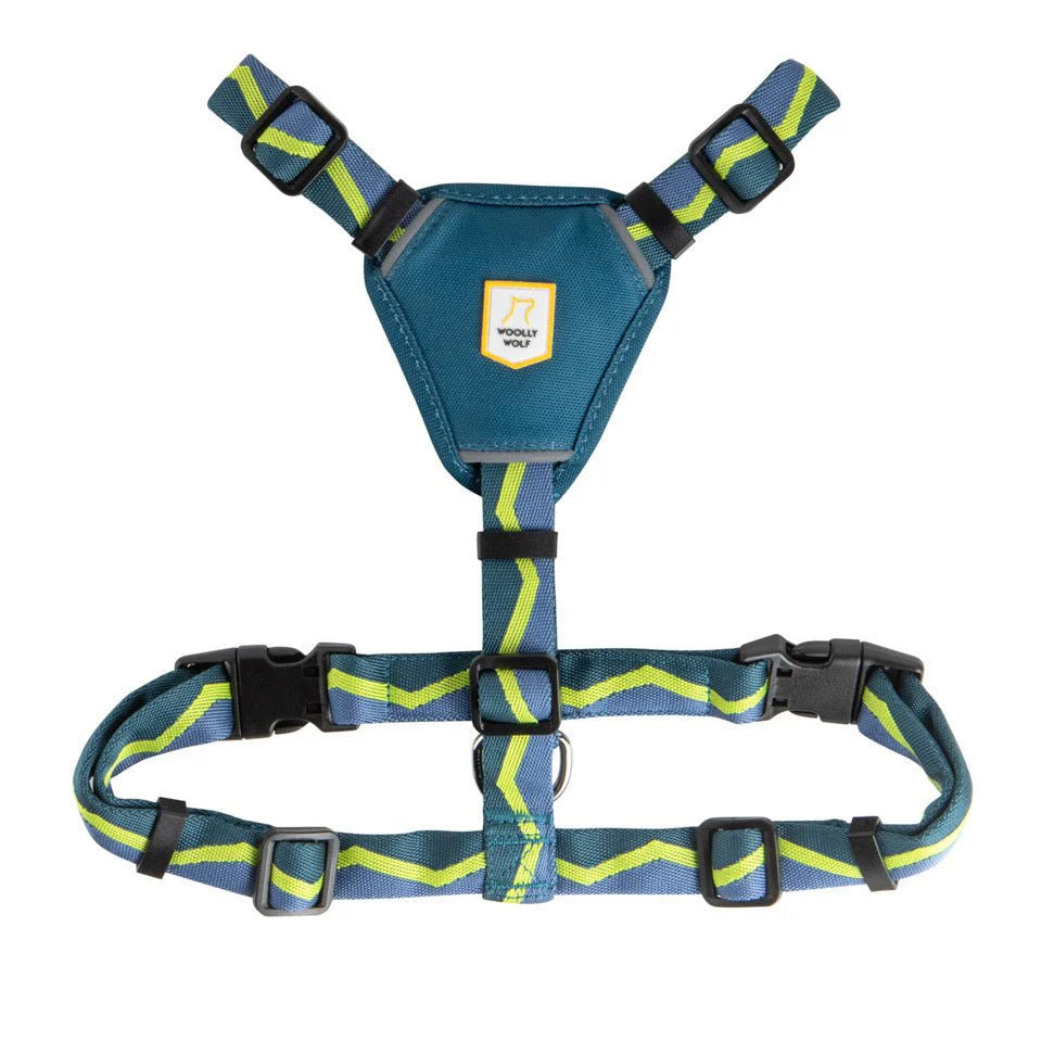 Шлейка Horizon Harness