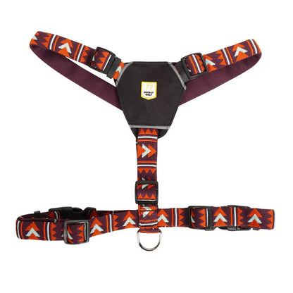 Шлейка Polar Night Harness