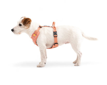 Шлейка Roam Harness Salmon Pink