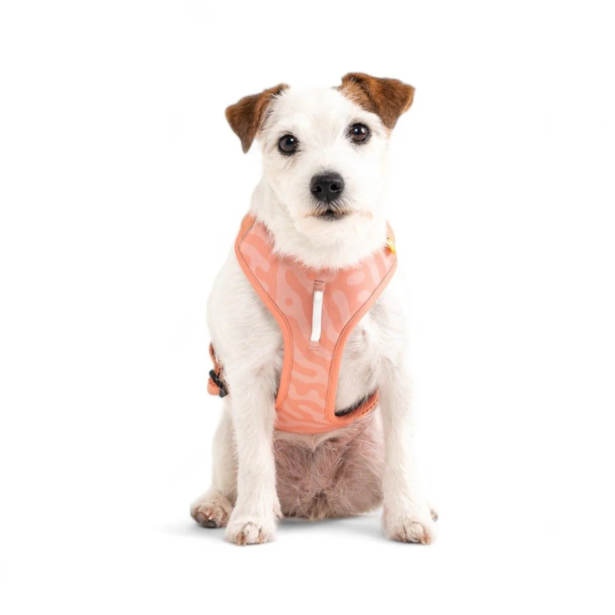 Шлейка Roam Harness Salmon Pink