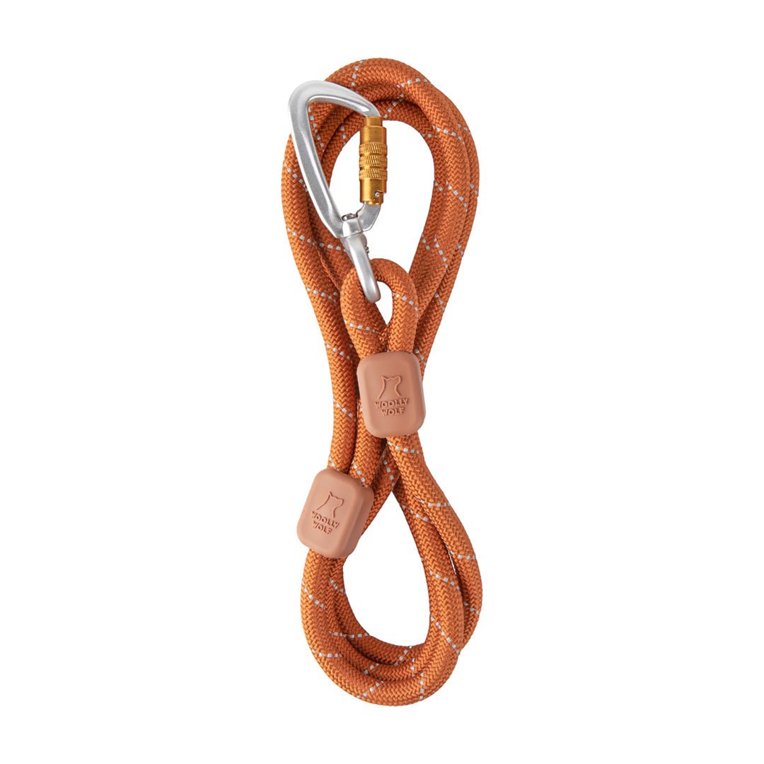 Rope Leash Terracotta 180 см