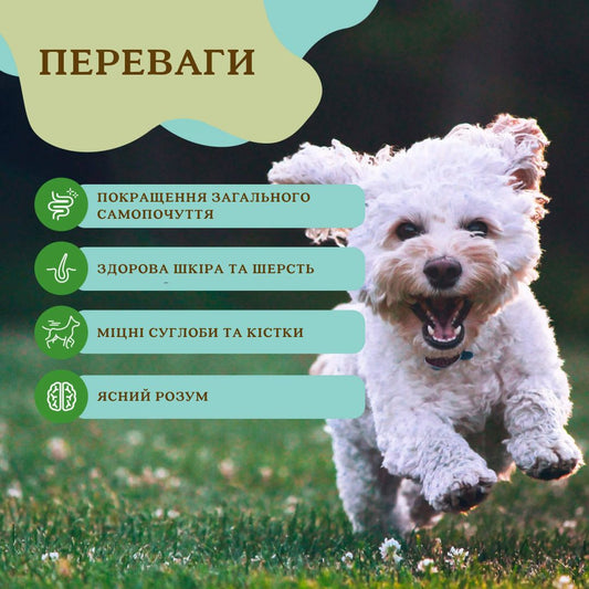 Суперфуд для собак суміш гранул зелені Super Greens Granules Natural Dog Company