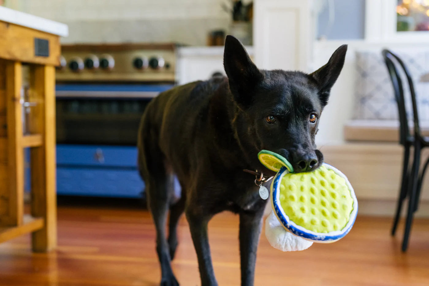 Іграшка для собак Barktender Margarita Pet Play