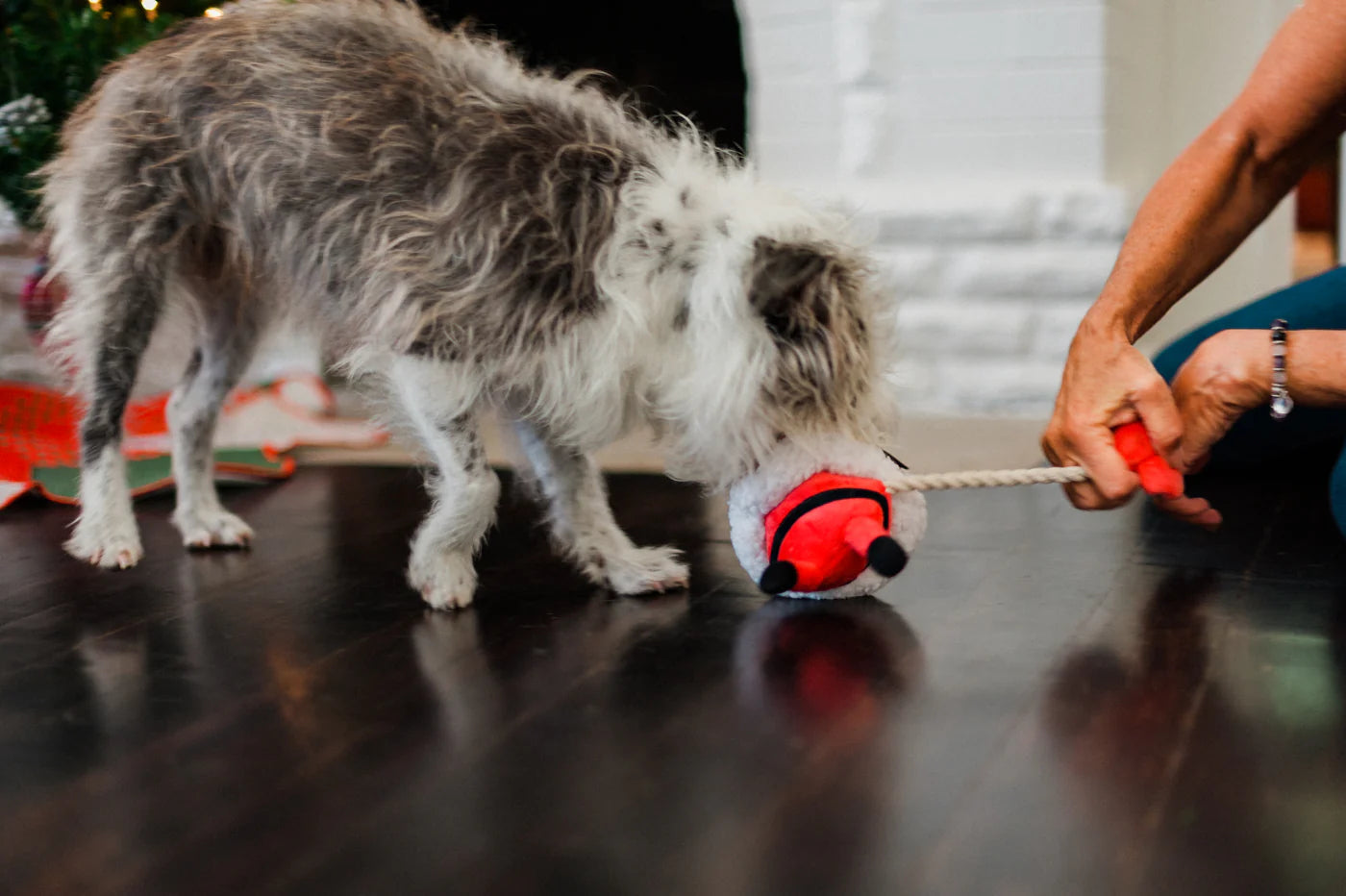 Іграшка для собак Merry Woofmas Clumsy Claus