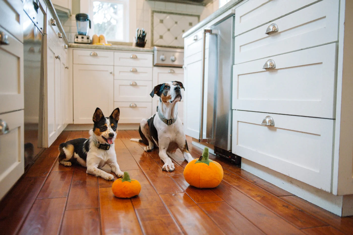 Іграшка для собак Garden Fresh Toy Pumpkin