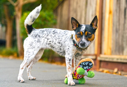 Іграшка для собак 90s Classics Skateboard Pet Play