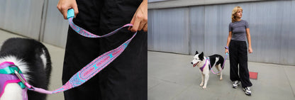 Повідець для собак CANDY NIT Zee.Dog 1 м