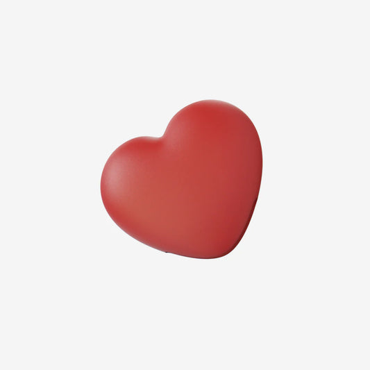 HEART ZEE.PINZ